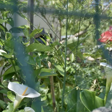 Appartamento Meli Zara