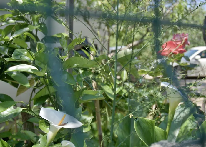 Апартаменты Meli Задар