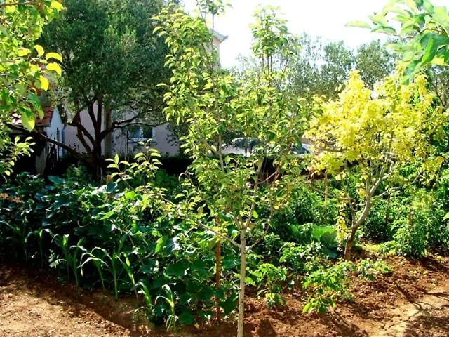 Meli Апартаменты *